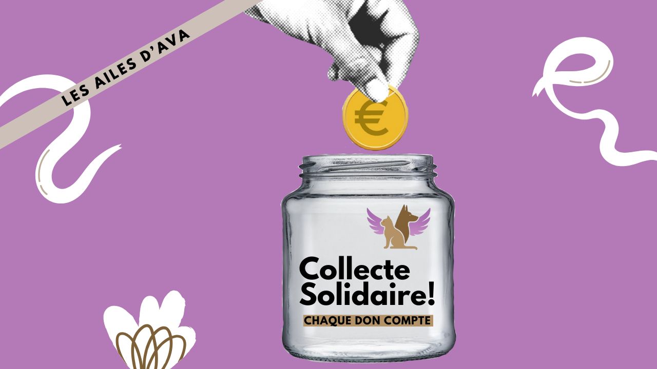 Les Ailes d'Ava Association