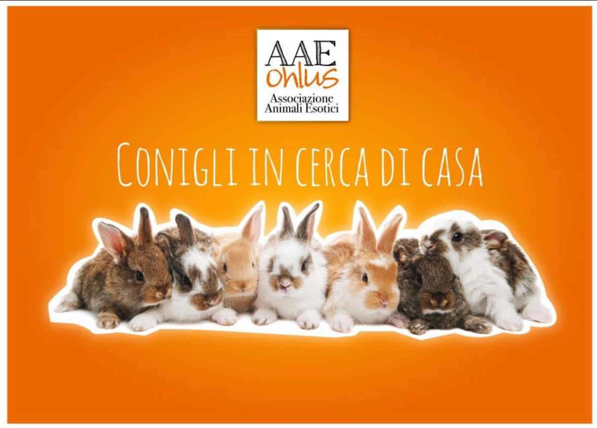 Associazione Animali Esotici Onlus