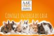 Associazione Animali Esotici Onlus