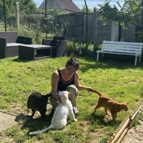 Aù bonheur des vieux matous