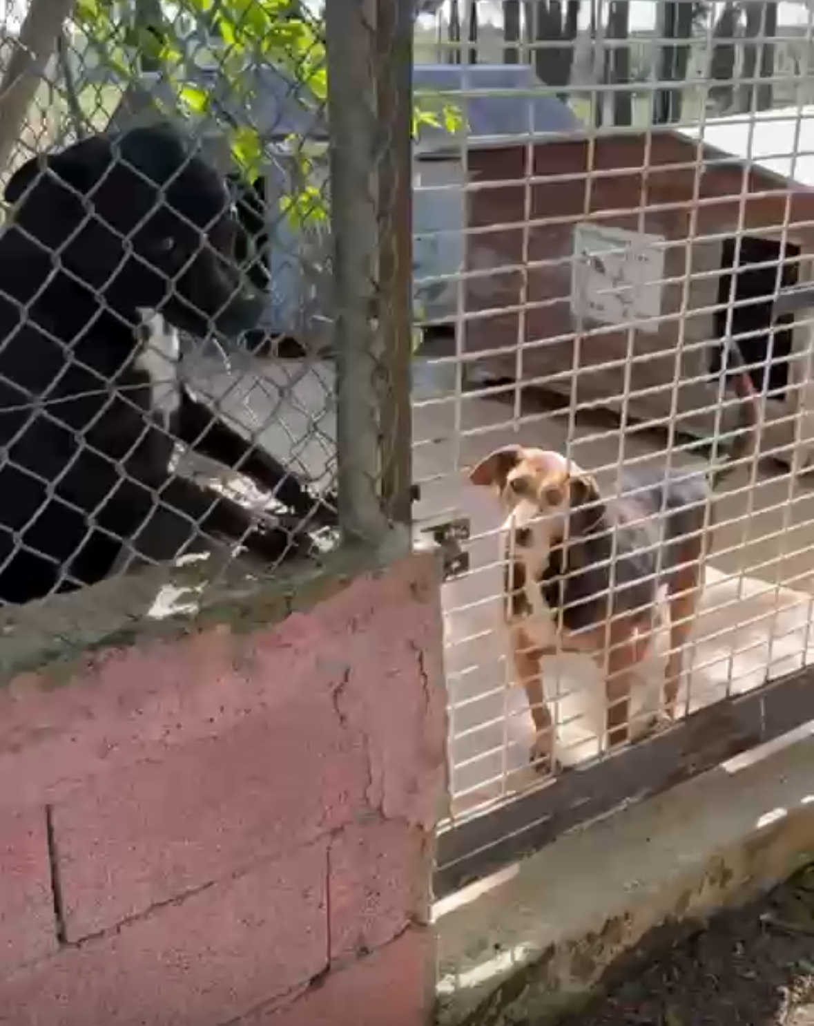 Le Refuge de Saint-Gilles - APASG