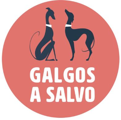 Galgos a salvo