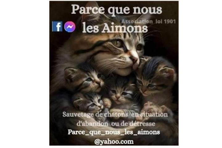 Association 
Parce que nous les Aimons