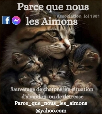 Association 
Parce que nous les Aimons