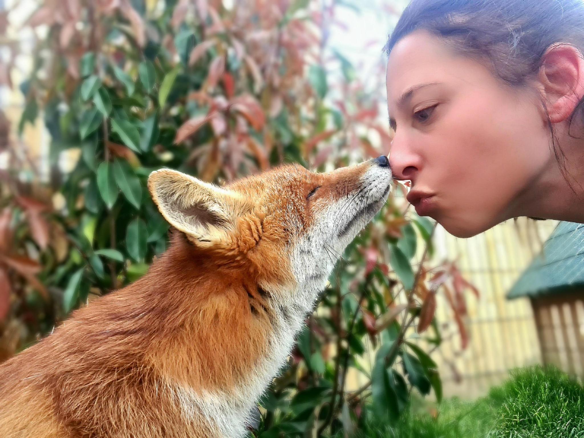 Création d'un Sanctuaire Faune Sauvage