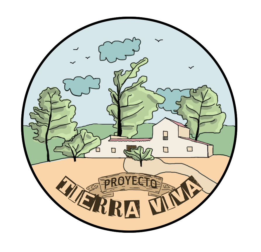 Proyecto Tie