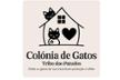 Tribo dos Patudos_Colónia de gatos