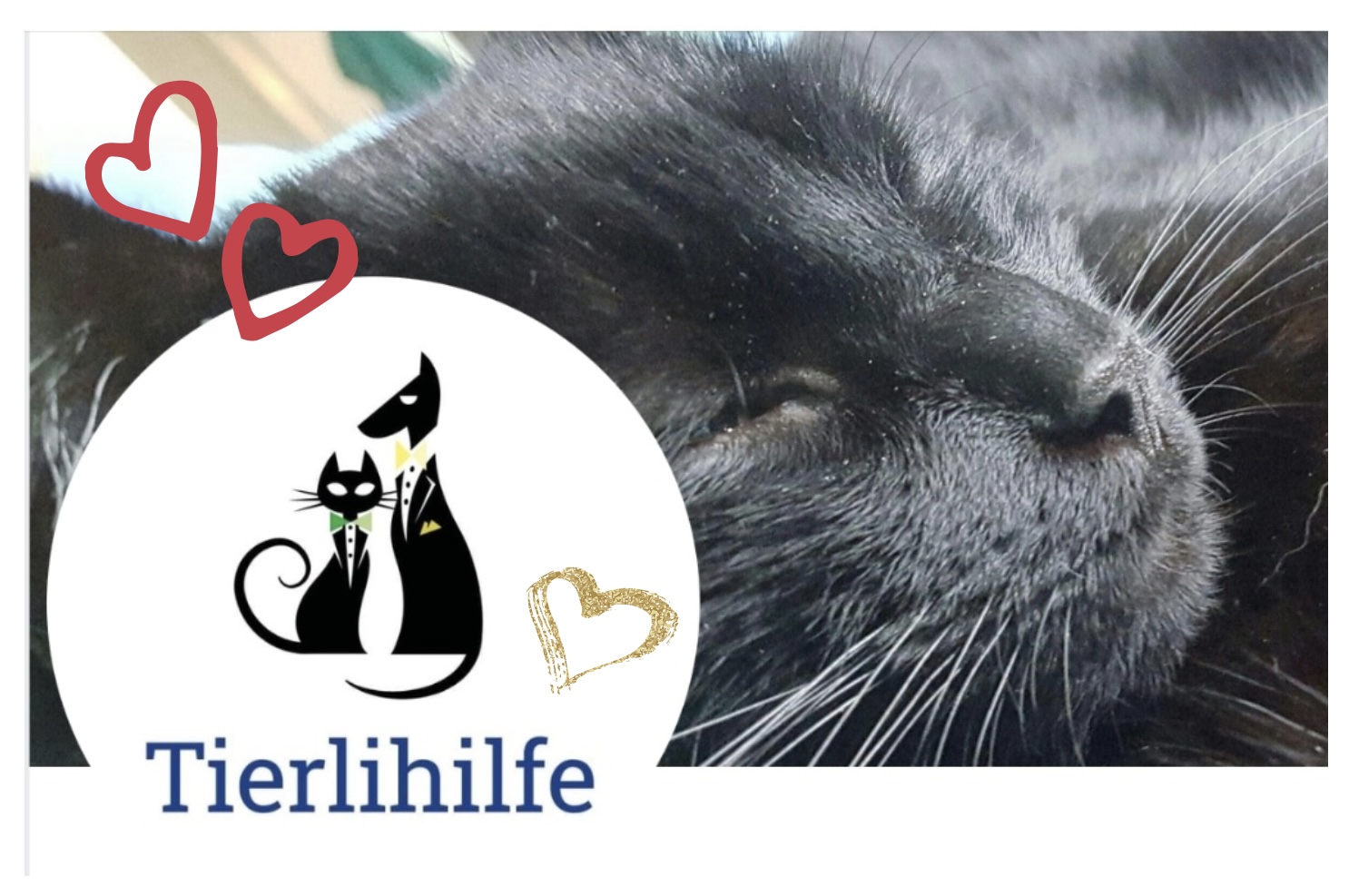 Tierlihilfe - Wir helfen schnell und unkompliziert