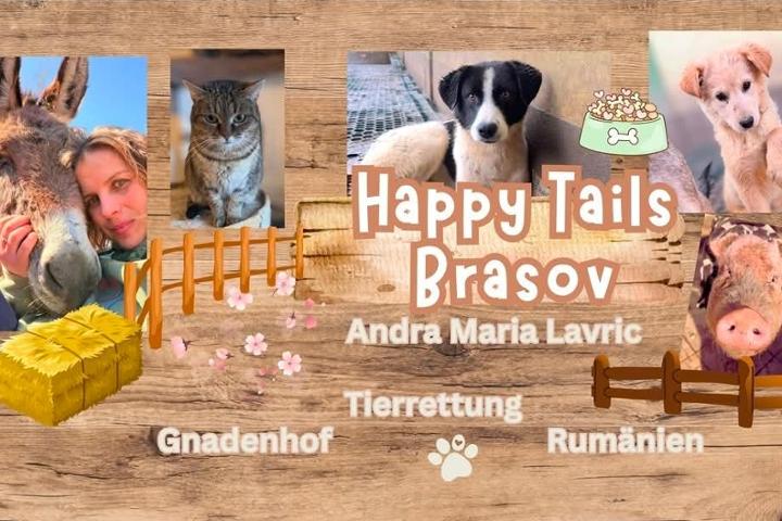 Picture for Happy Tails Brasov ❤️
Animals and Pets Welfaire Association