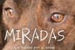 VOLCAAD. Ass. de voluntaris