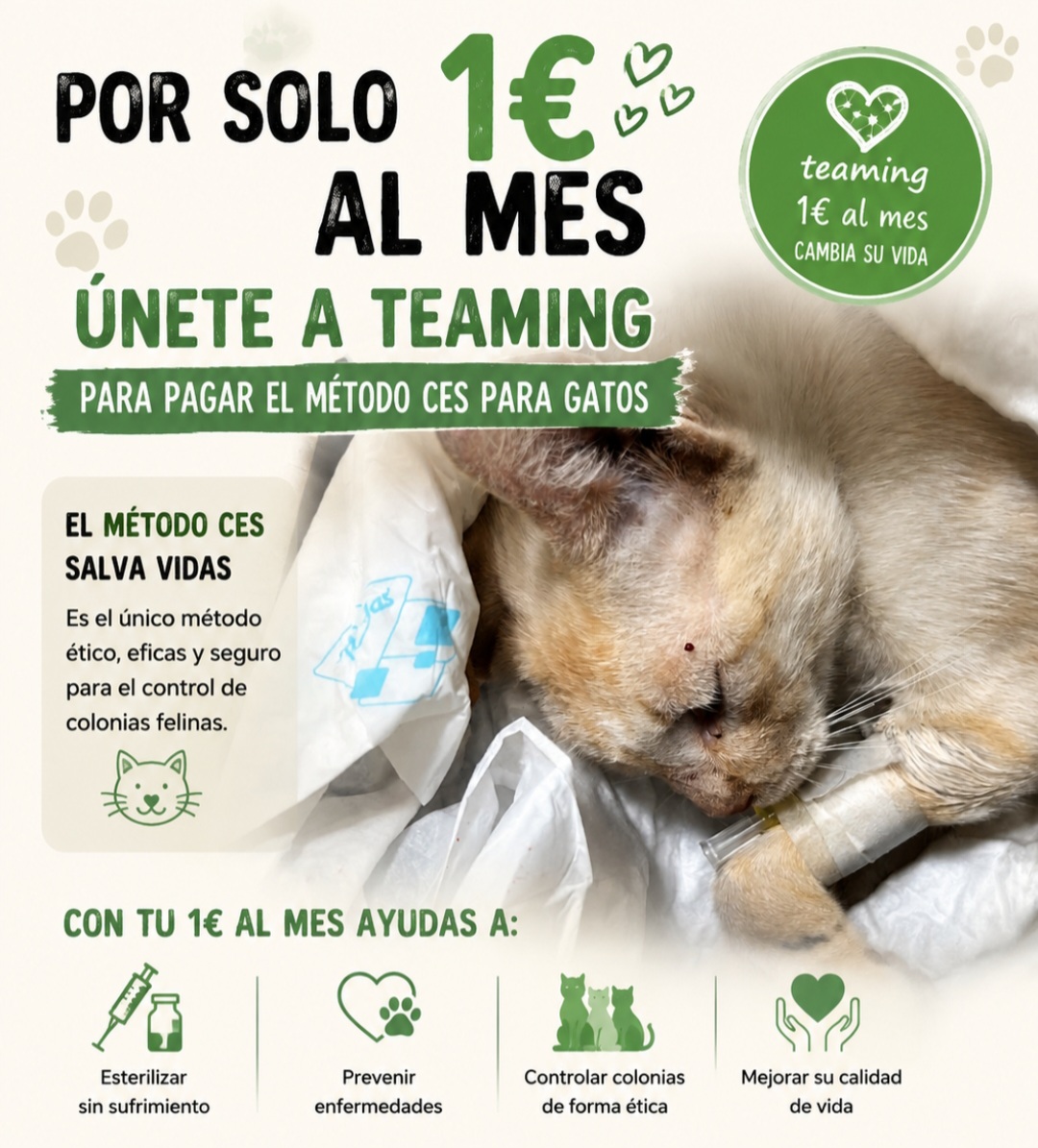METODO CES JUANJO MARTIN