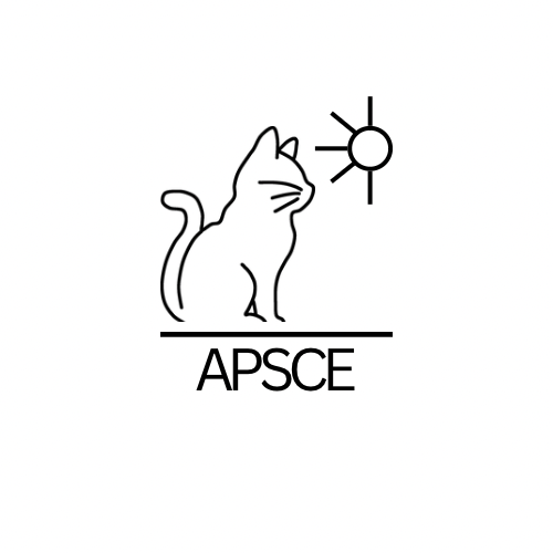 APCSE