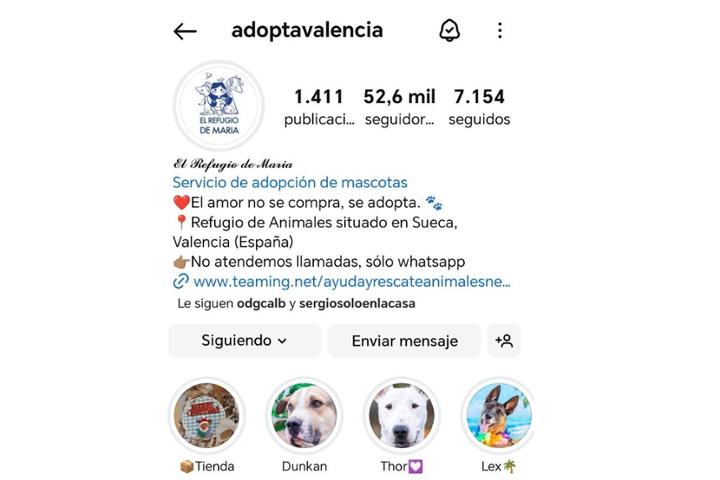 Valencia el refugio de Maria