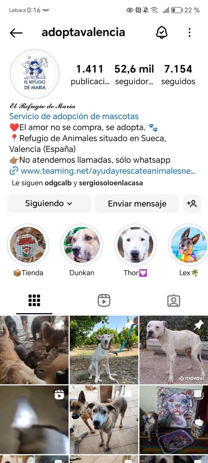 Valencia el refugio de Maria