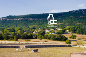 Fundación AgroyCultura