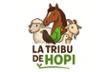 La Tribu de Hopi