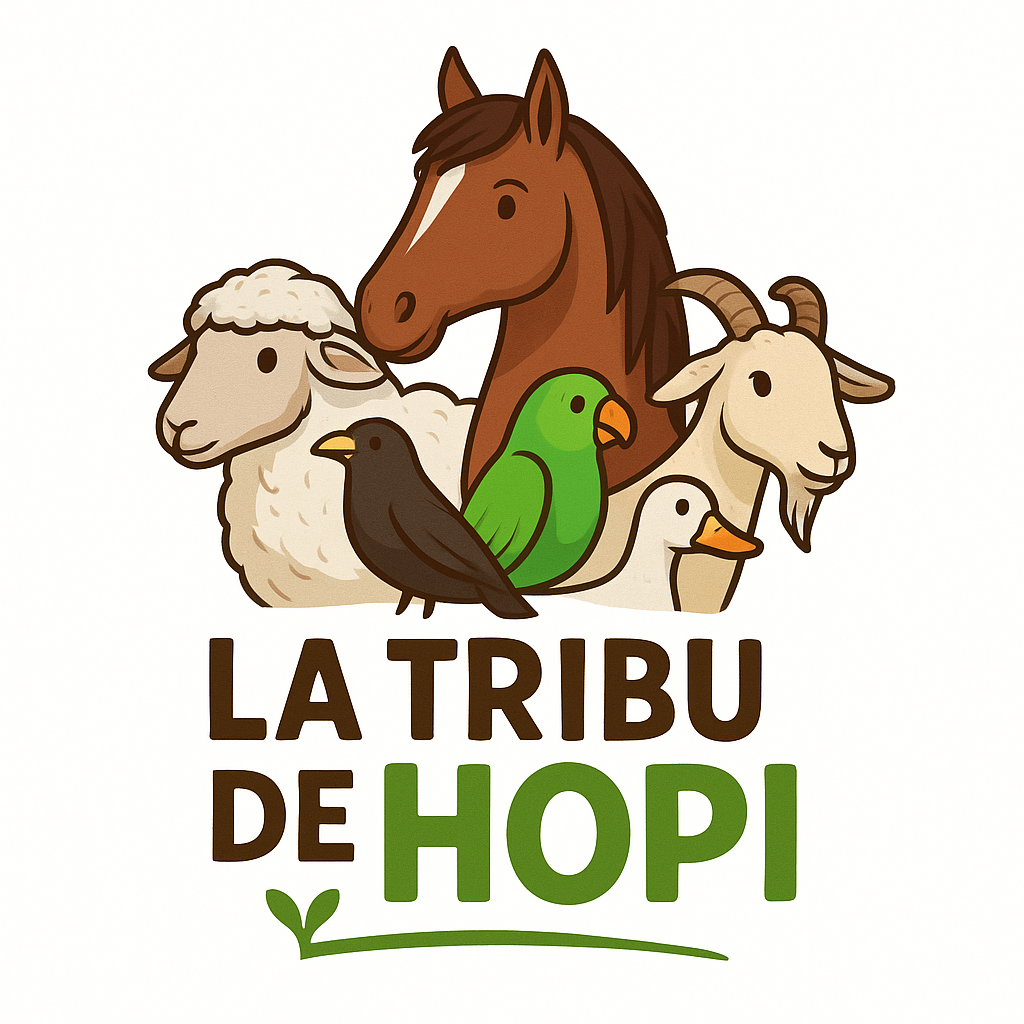 La Tribu de Hopi
