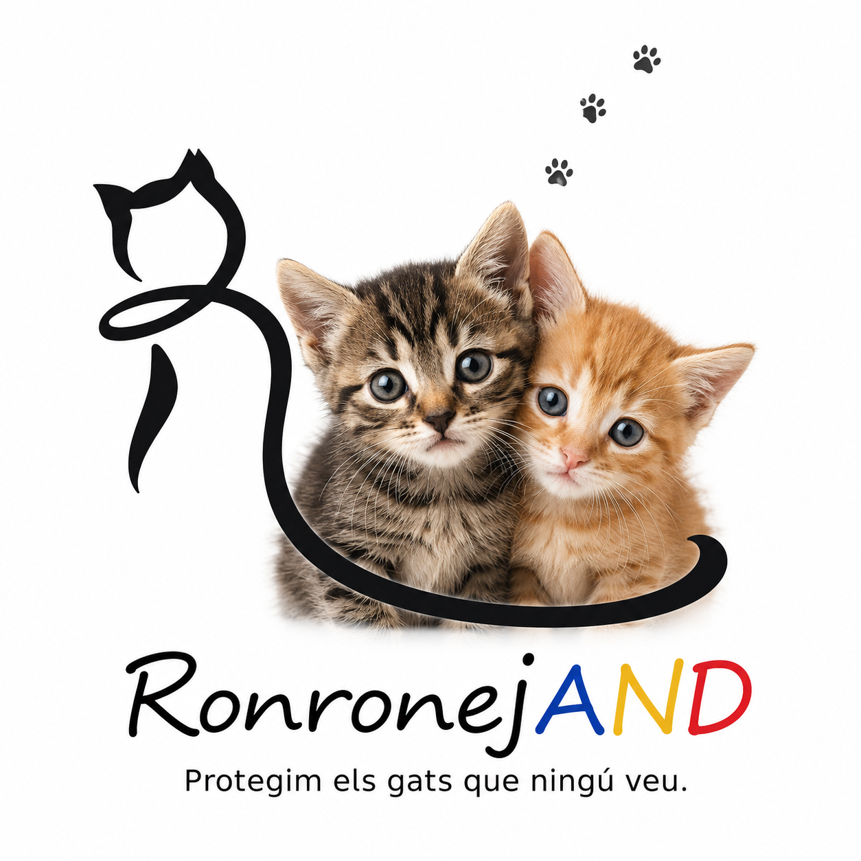 RonronejAND