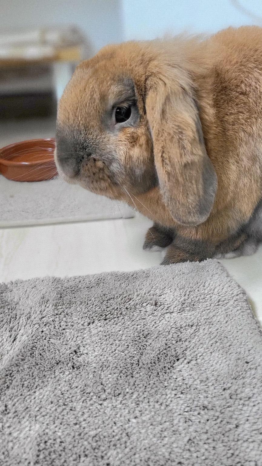 UN PEQUEÑO GESTO CAMBIA VIDAS