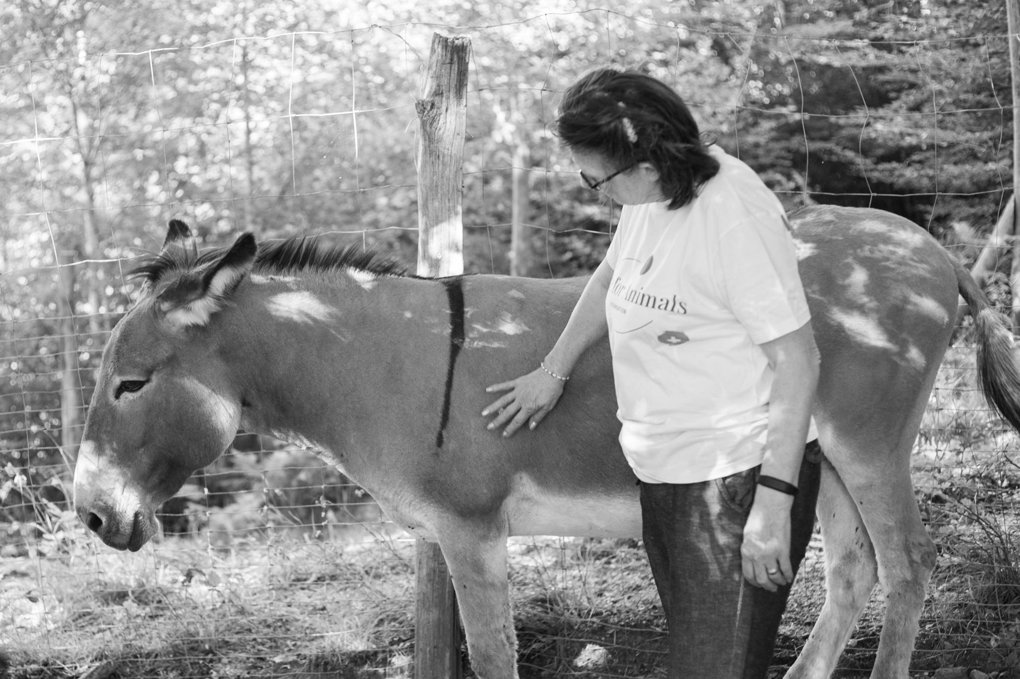 Fondazione Hope for Animals