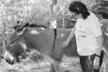 Fondazione Hope for Animals