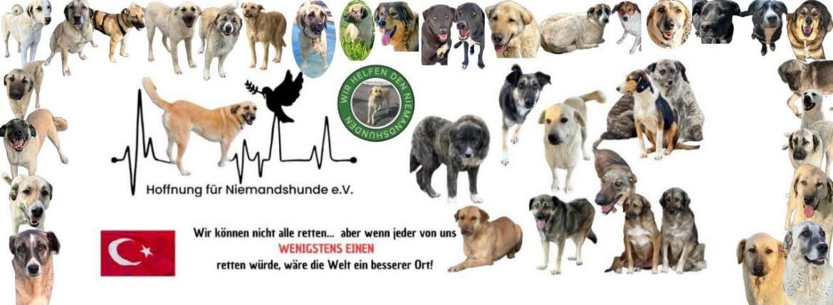 Hoffnung für Niemandshunde e.V