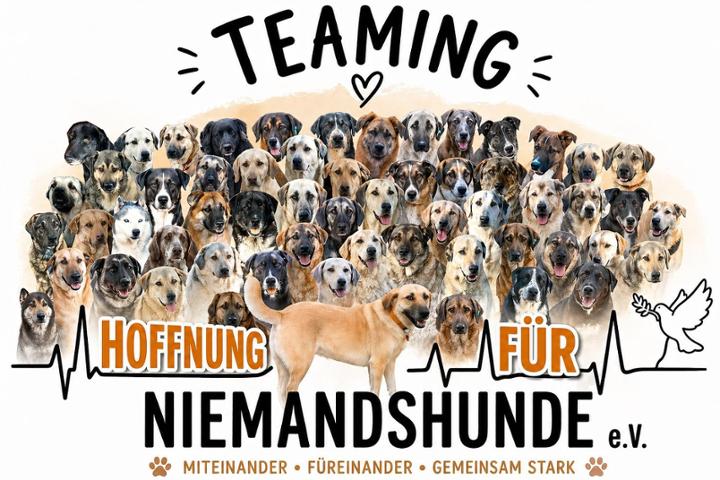 Hoffnung für Niemandshunde e.V
