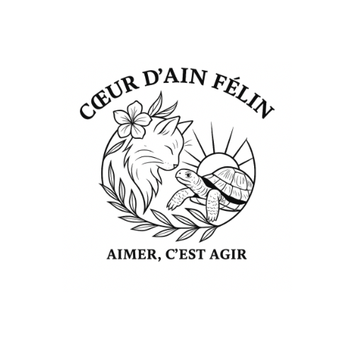 Cœur d'Ain Felin