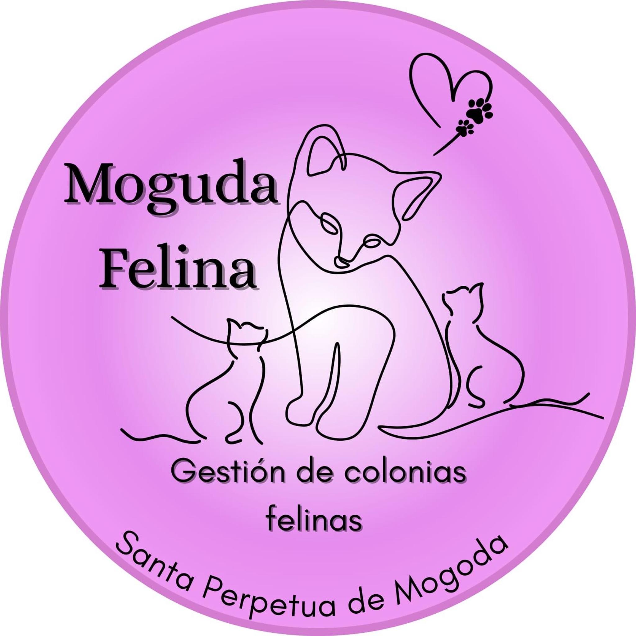 Moguda felina