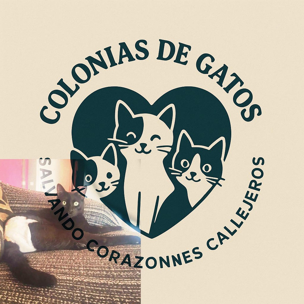 Ayuda a salvar vidas ¡¡