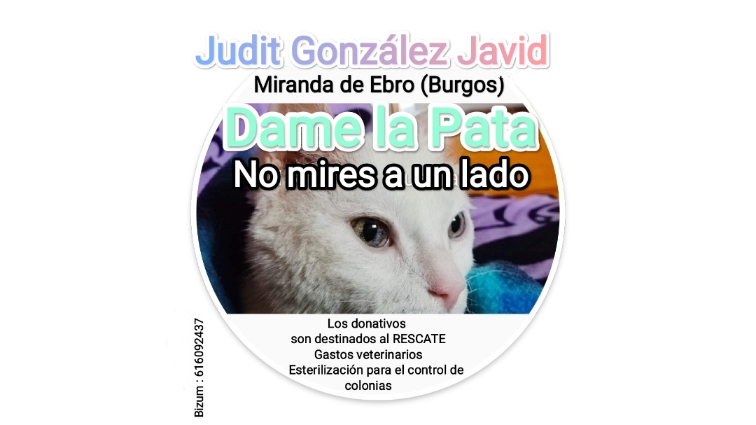 Judit González Javid