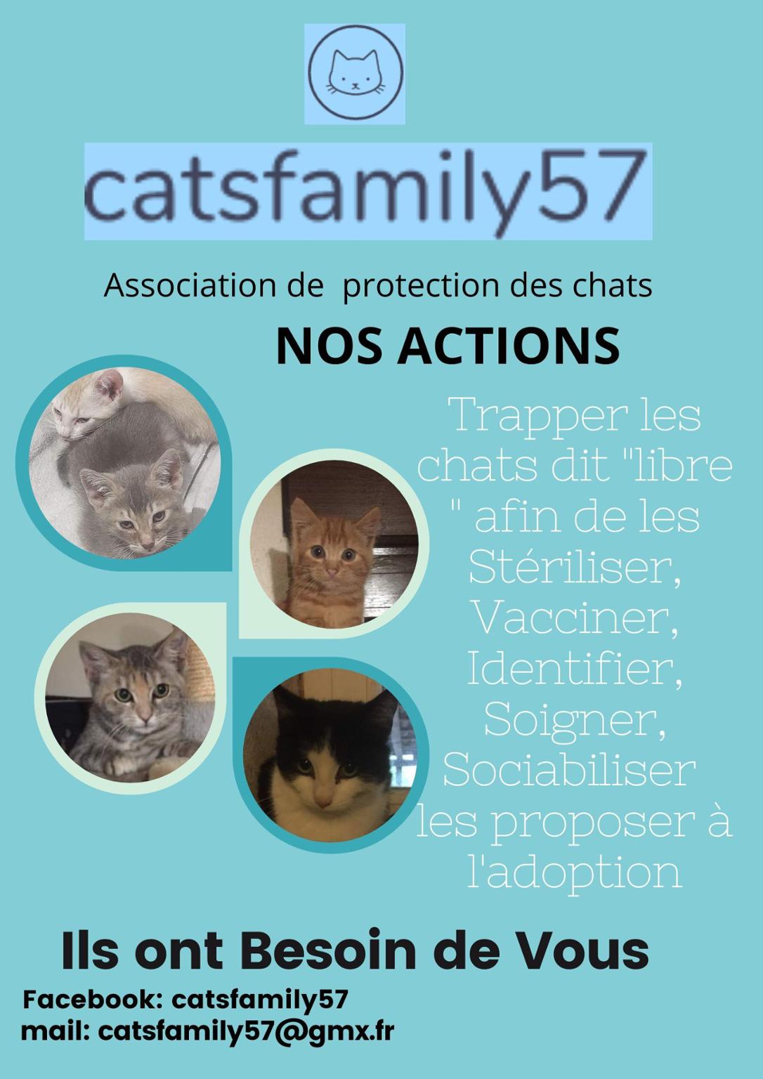 catsfamily57