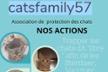 catsfamily57