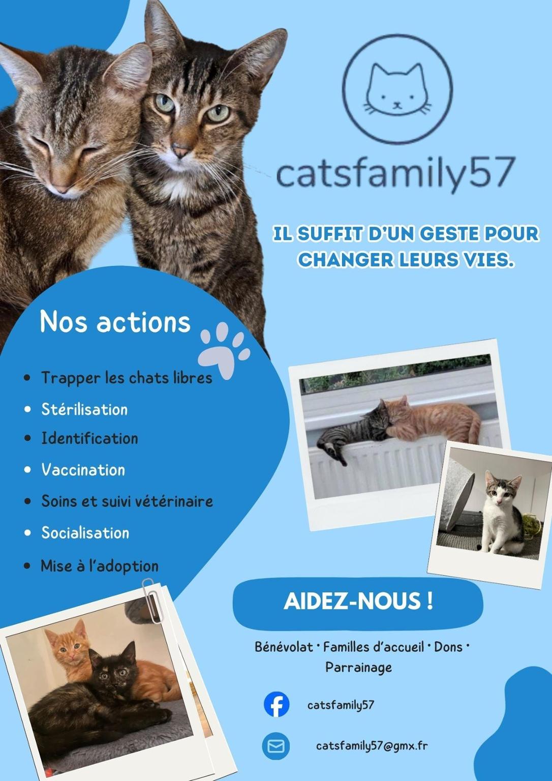 catsfamily57