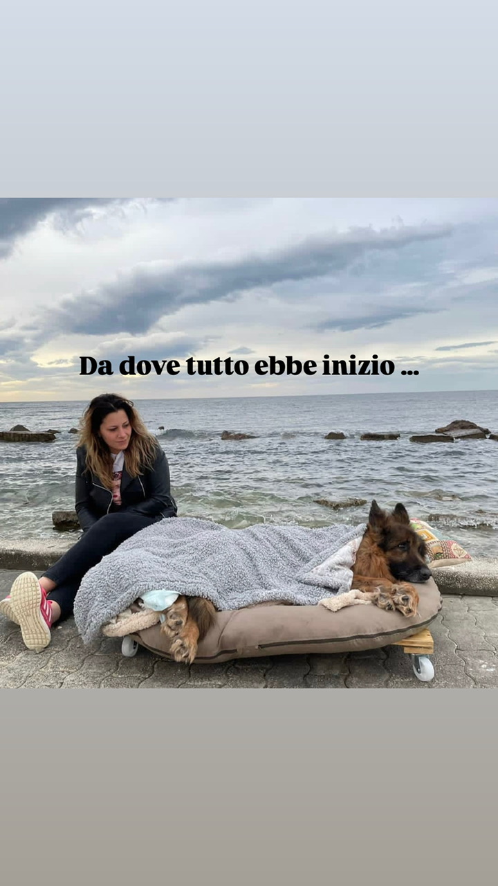 Teaming qua la zampa HEART