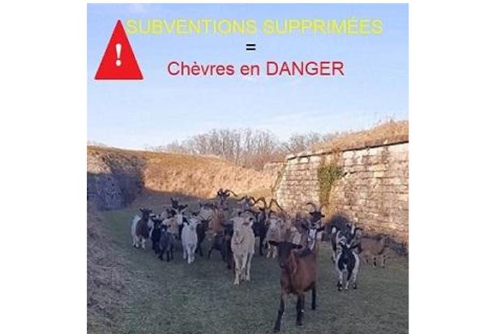 APAR