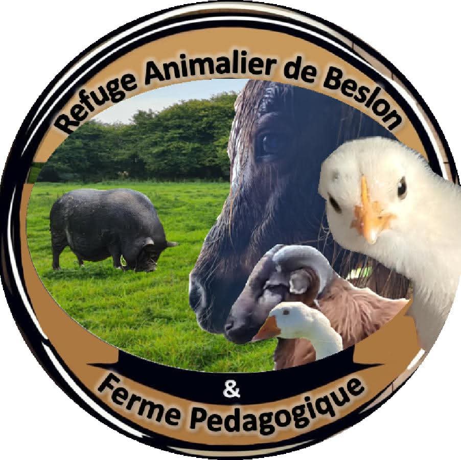 Refuge animalier de beslon