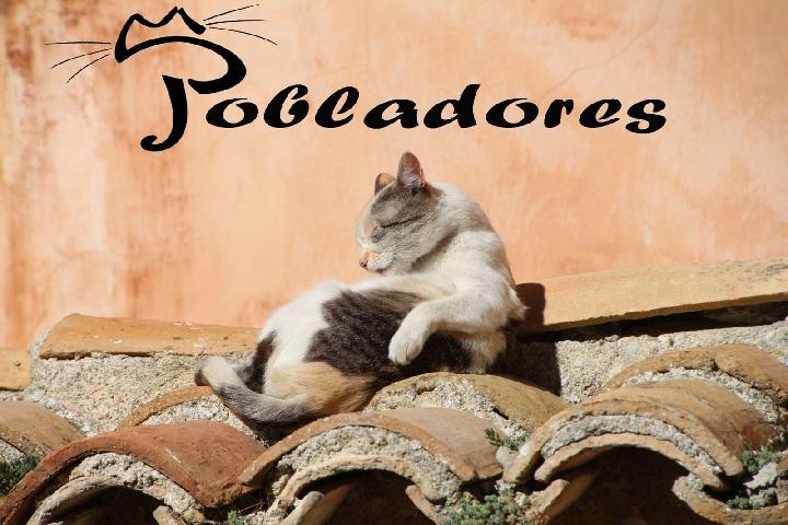 Gatos Pobladores