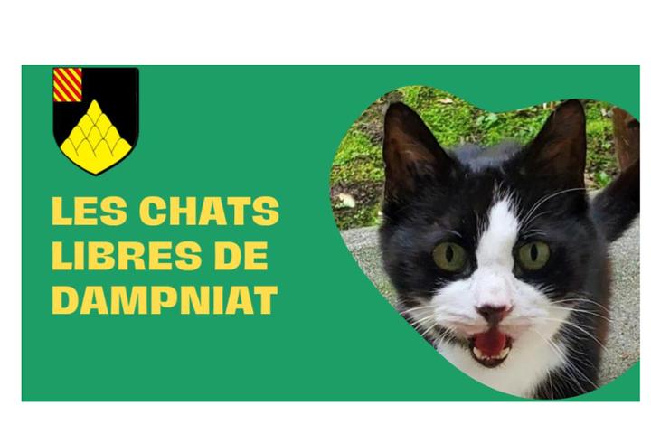 LES CHATS LIBRES DE DAMPNIAT