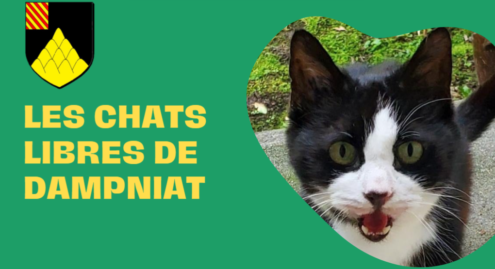 LES CHATS LIBRES DE DAMPNIAT