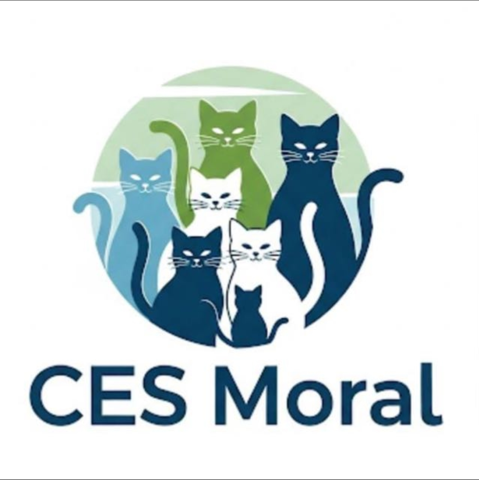 CES Moral