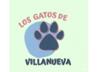 Los gatos de Villanueva