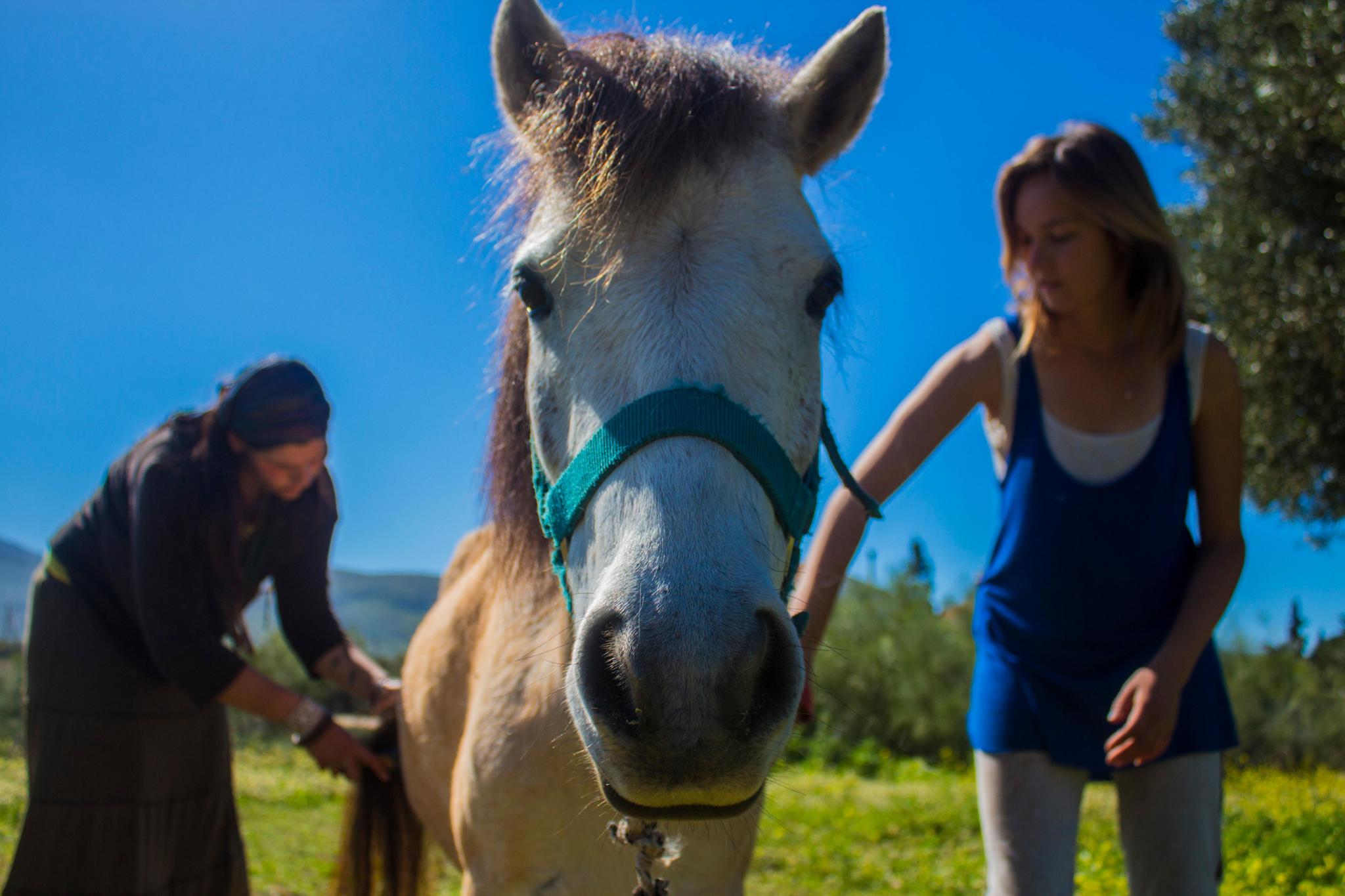 Support the Calme Garden Family