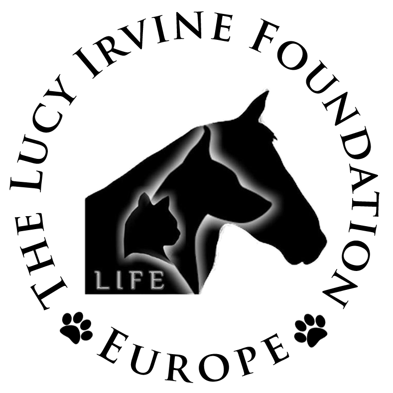 LUCY IRVINE FOUNDATION EUROPE
