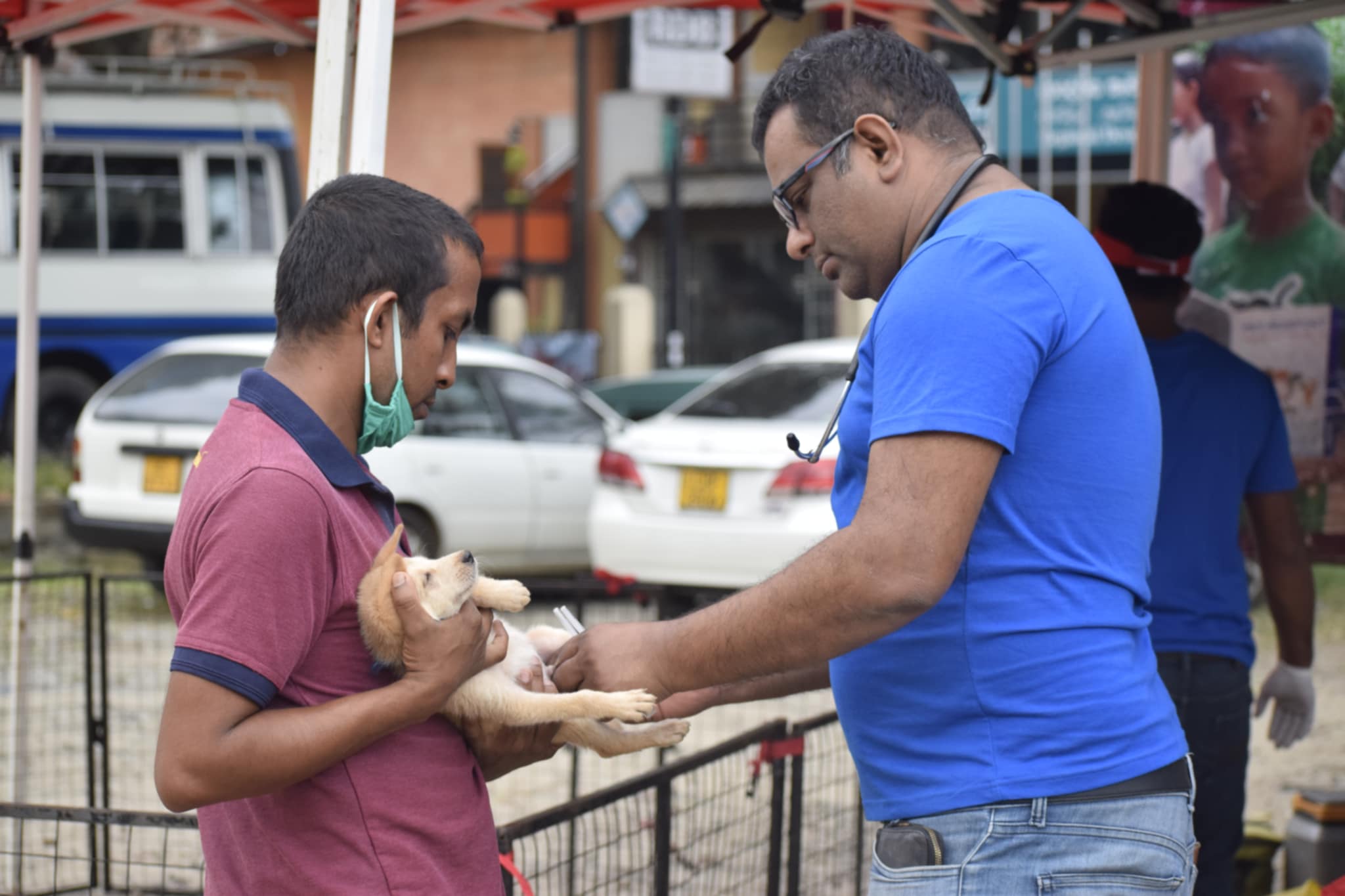 Tuty Trust - Neuter strays in Sri Lanka
