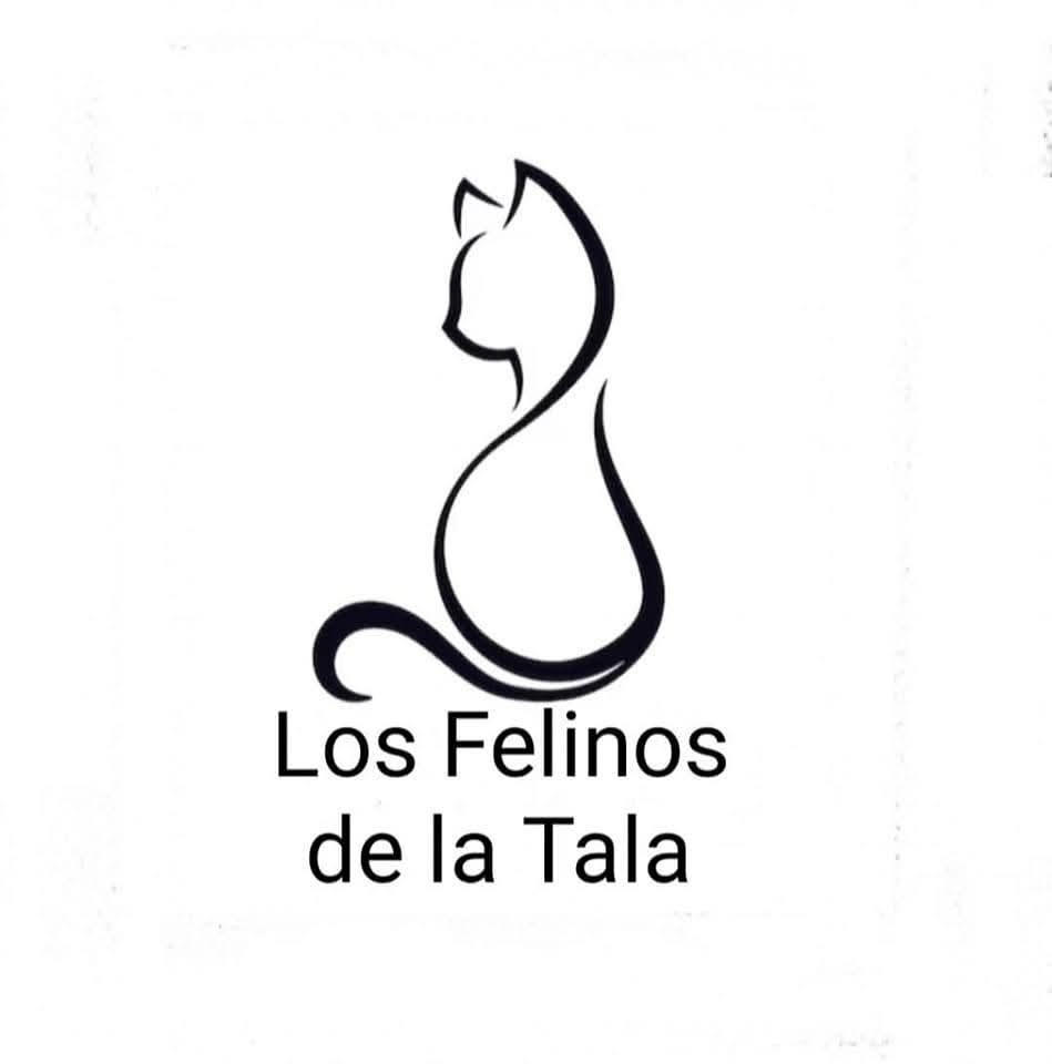 Los Felinos de la Tala