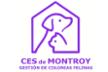 CES DE MONTROY