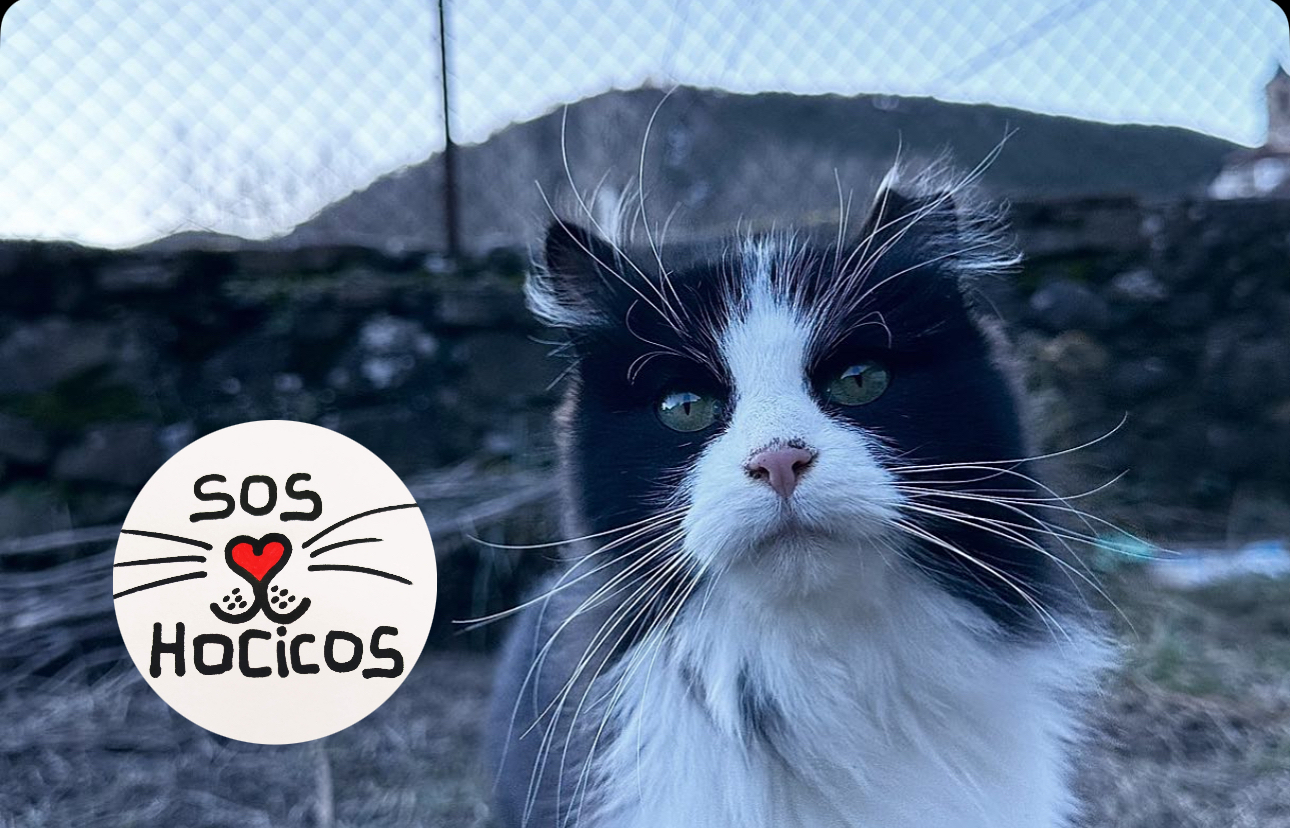 SOS Hocicos