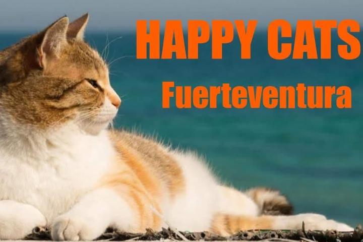 HAPPY CATS