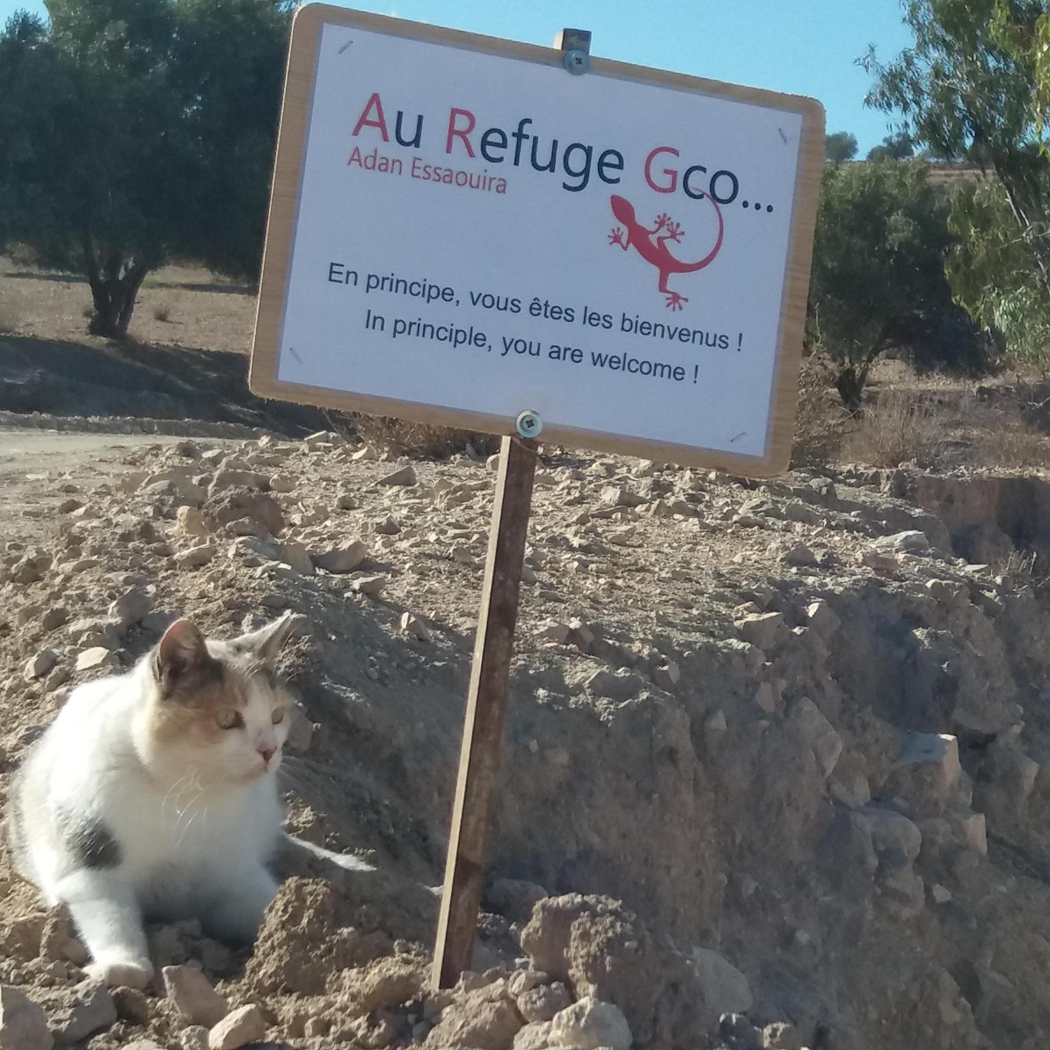 Au Refuge Gco France